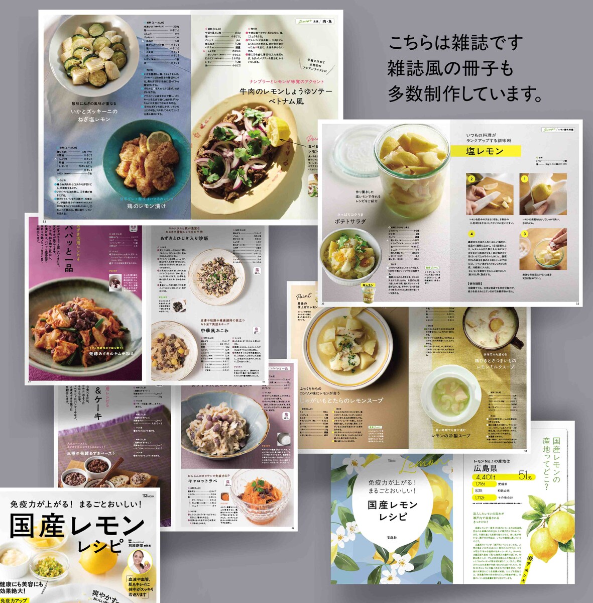 雑誌　企業の雑誌風の冊子も多数制作しています