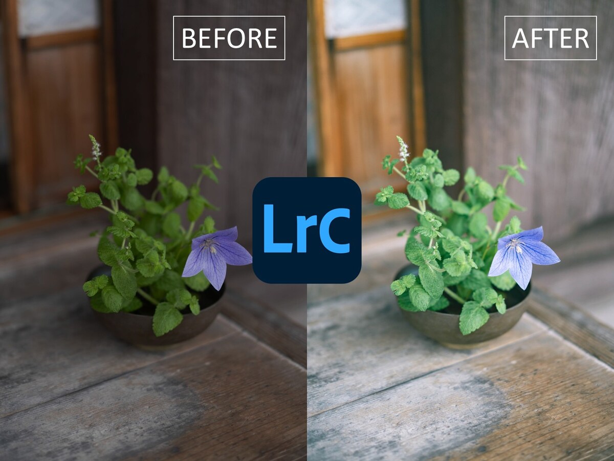 Lightroomによる写真加工・レタッチ