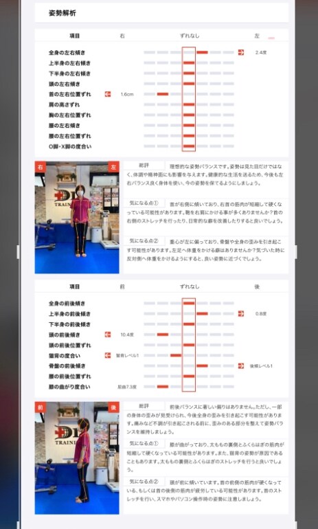 正面と左側面からの2ポーズの例