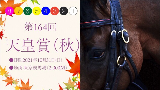 第164回　天皇賞（秋）応援バナー