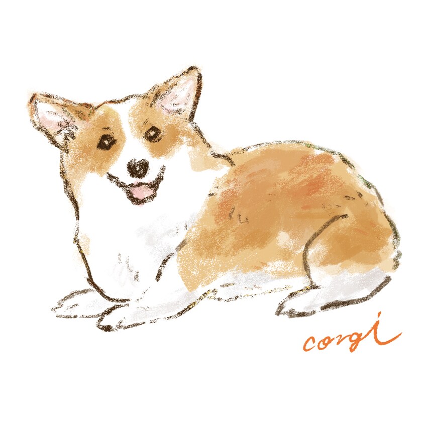 ペットイラストcorgi
