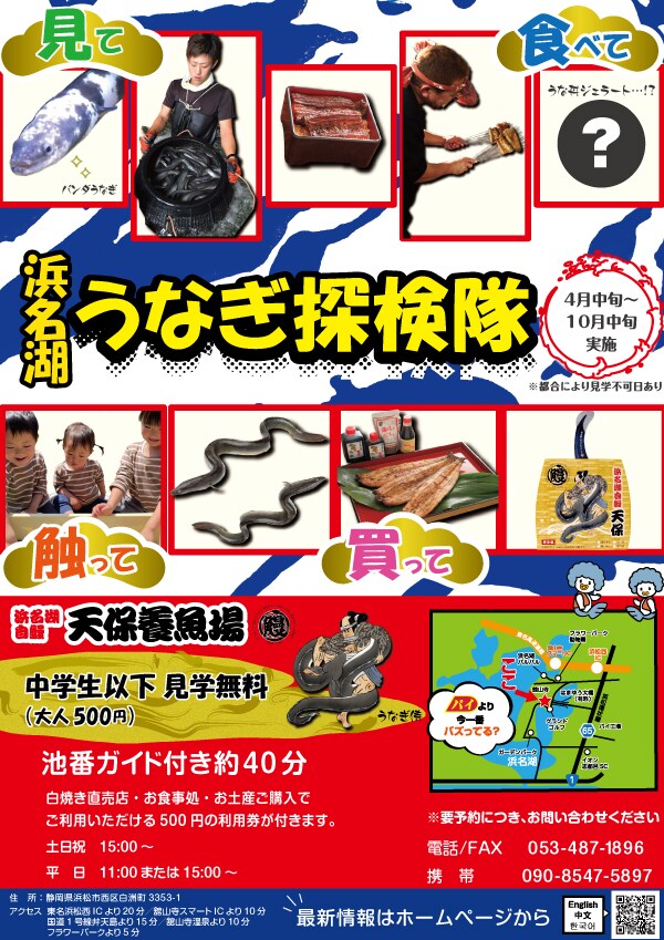 うなぎ＿チラシ
