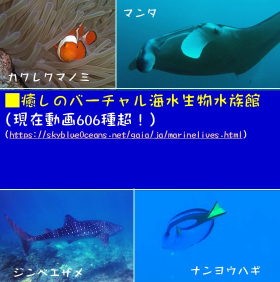 ６００種類を超す熱帯魚の珊瑚礁・岩礁を泳ぐ情報満載動画図鑑！