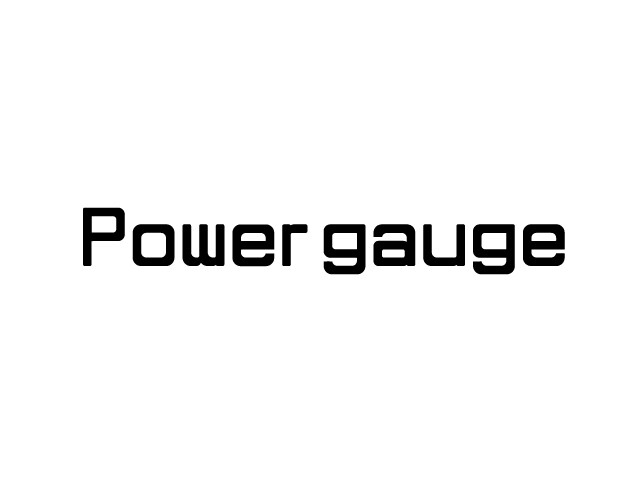 徒手筋力計Power gaugeのロゴデザイン作成