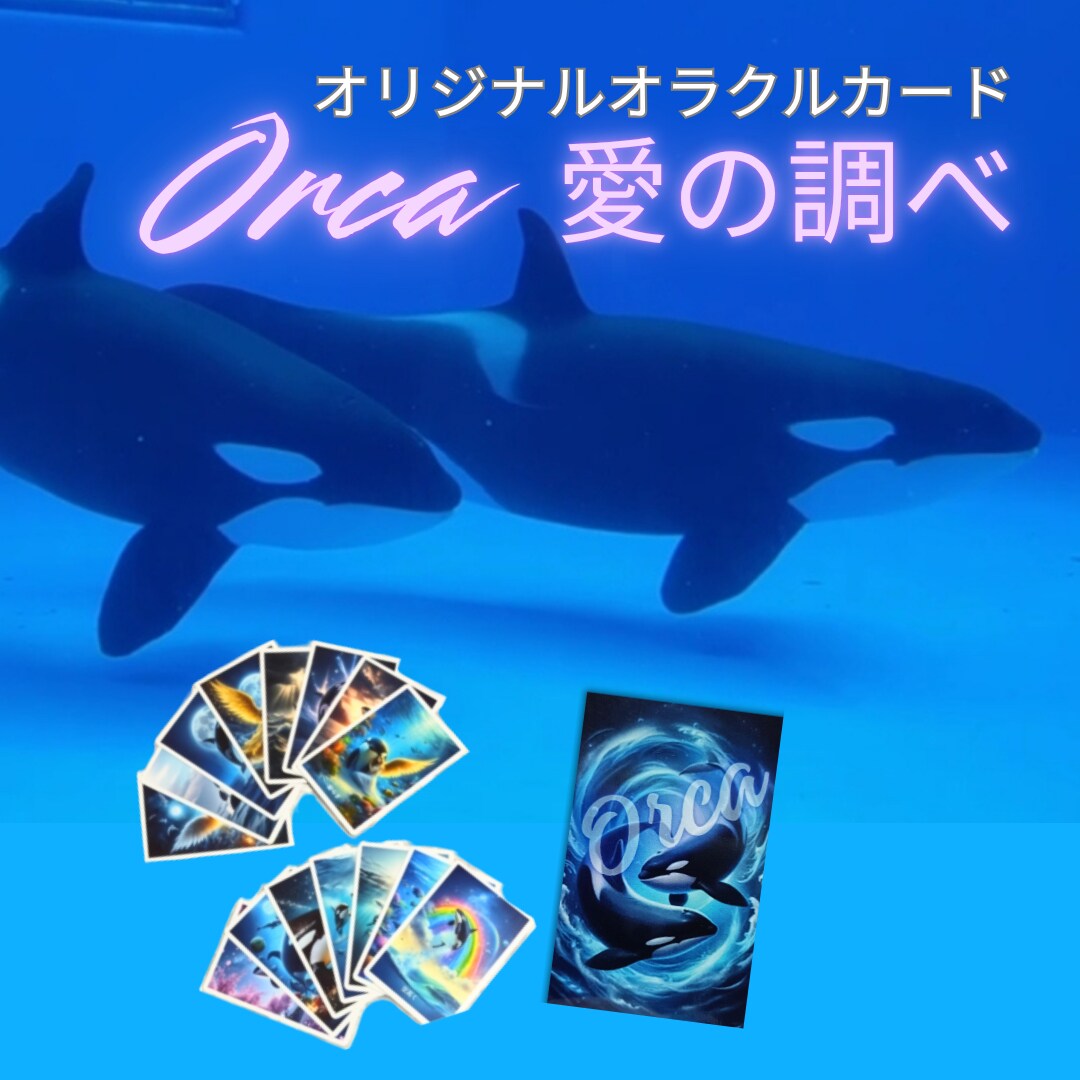 シャチと受け取る、愛のメッセージ