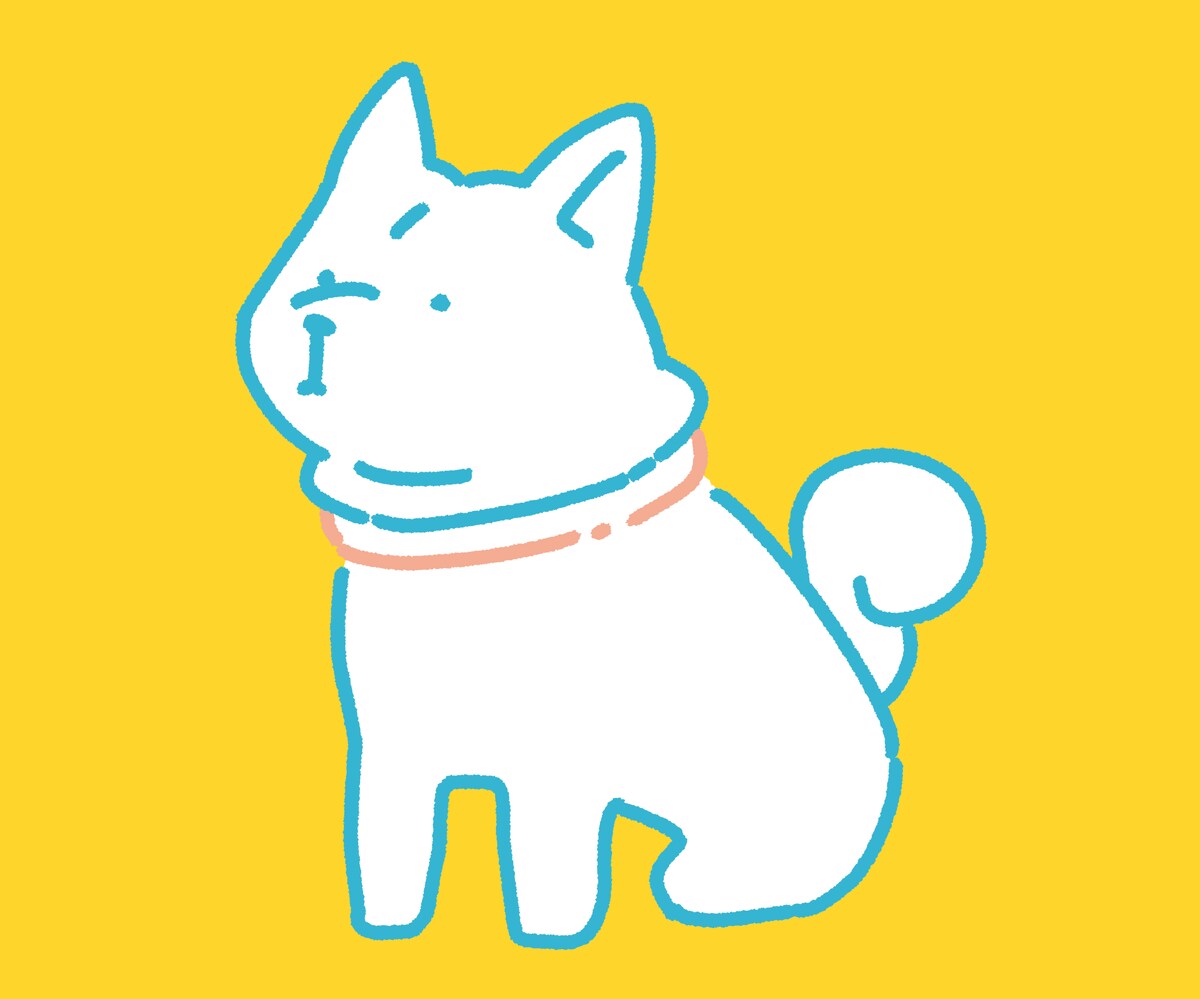 SHIBA