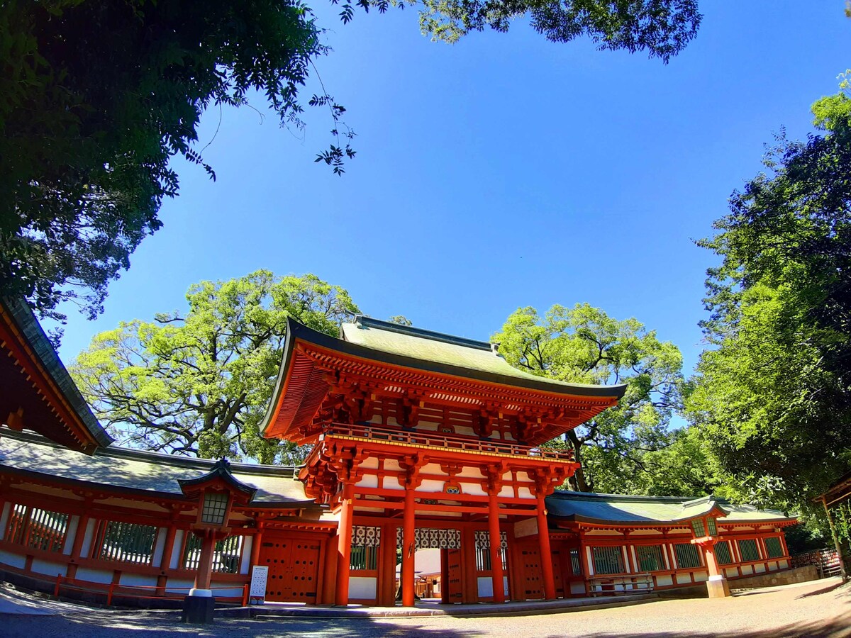 武蔵国一宮「氷川神社」は占い師・霊能力者も注目する神社
