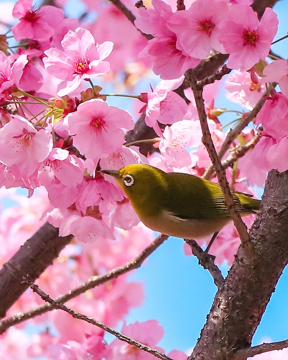 ♡