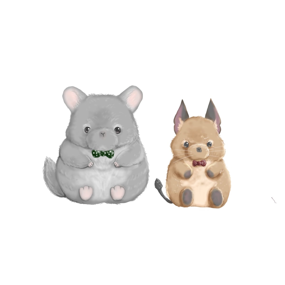 テディチンチラ&デグー