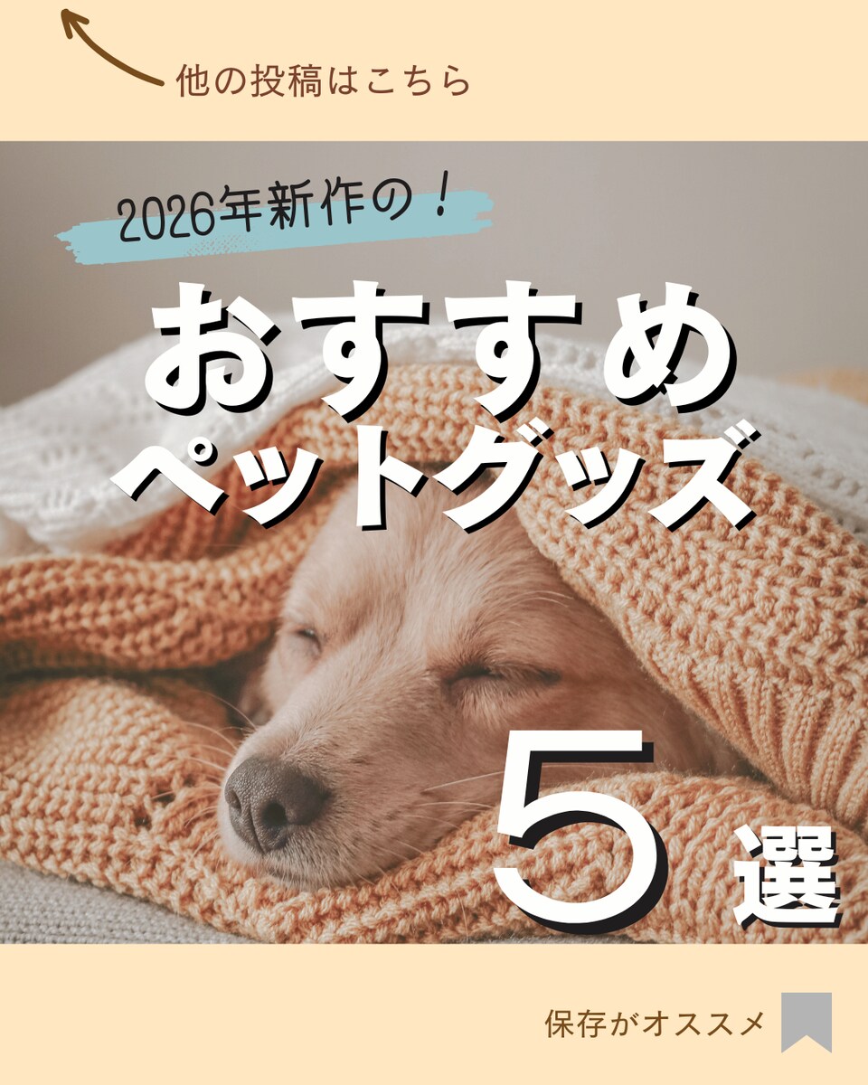 ペットグッズの紹介