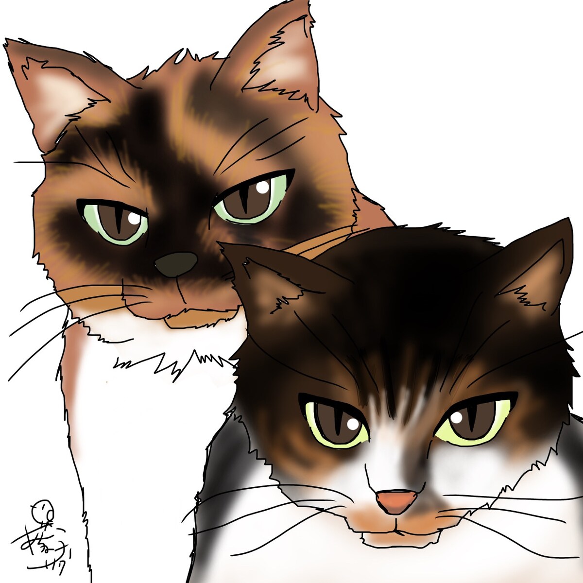 SNSアイコン用イラスト 猫