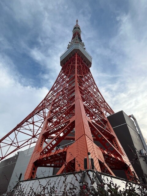 東京タワー　2022年