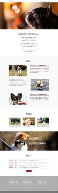 XDデザインカンプからコーディングしました。