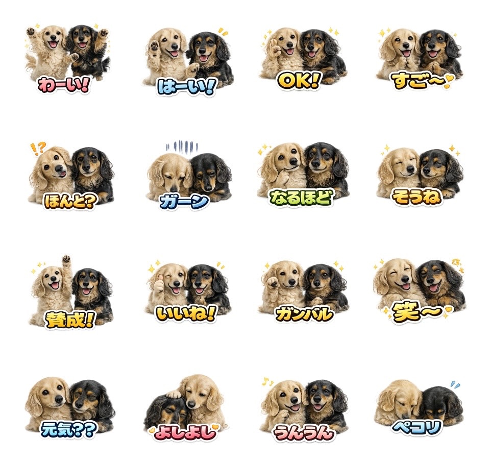 仲良しダックス