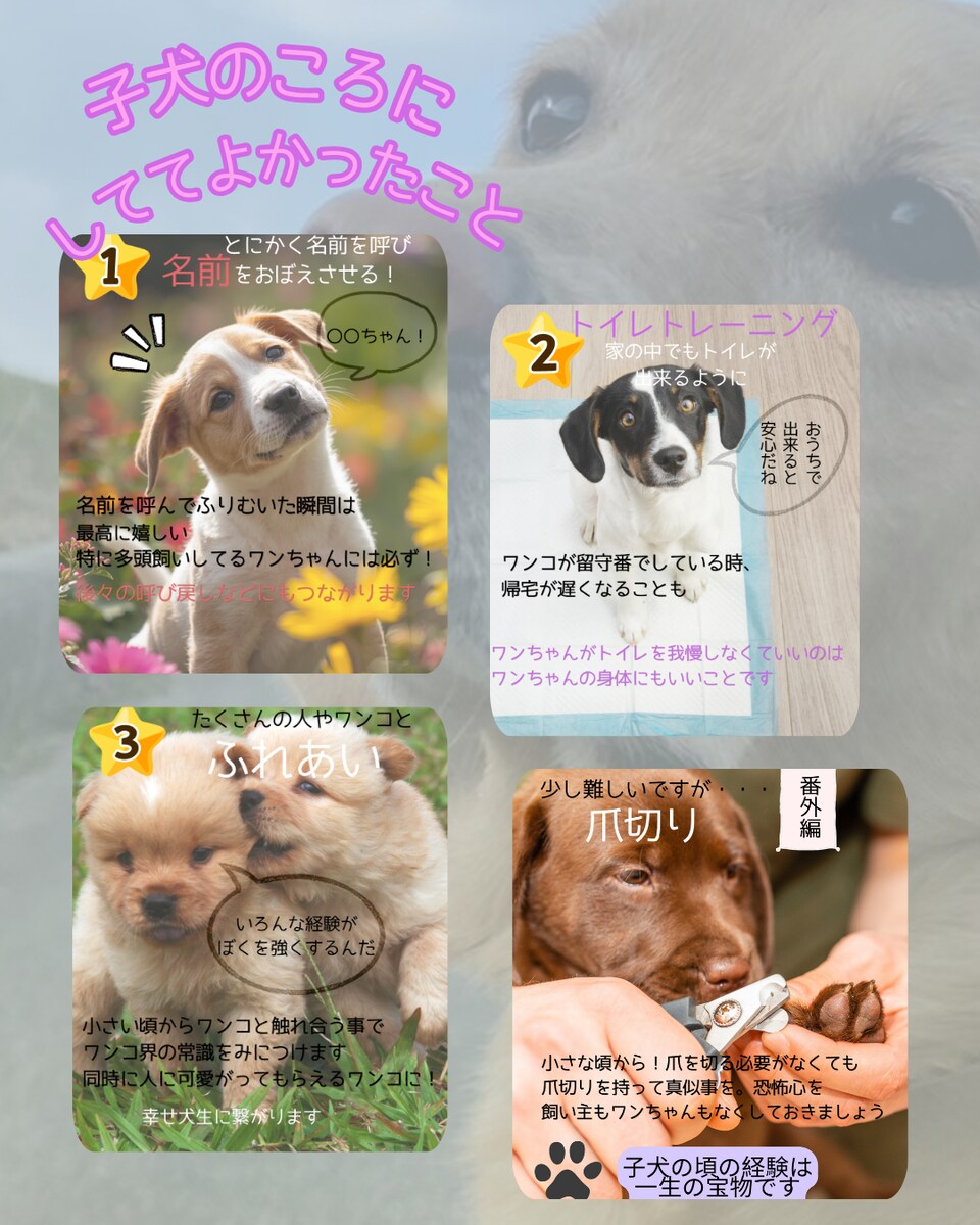 Instagram投稿デザイン