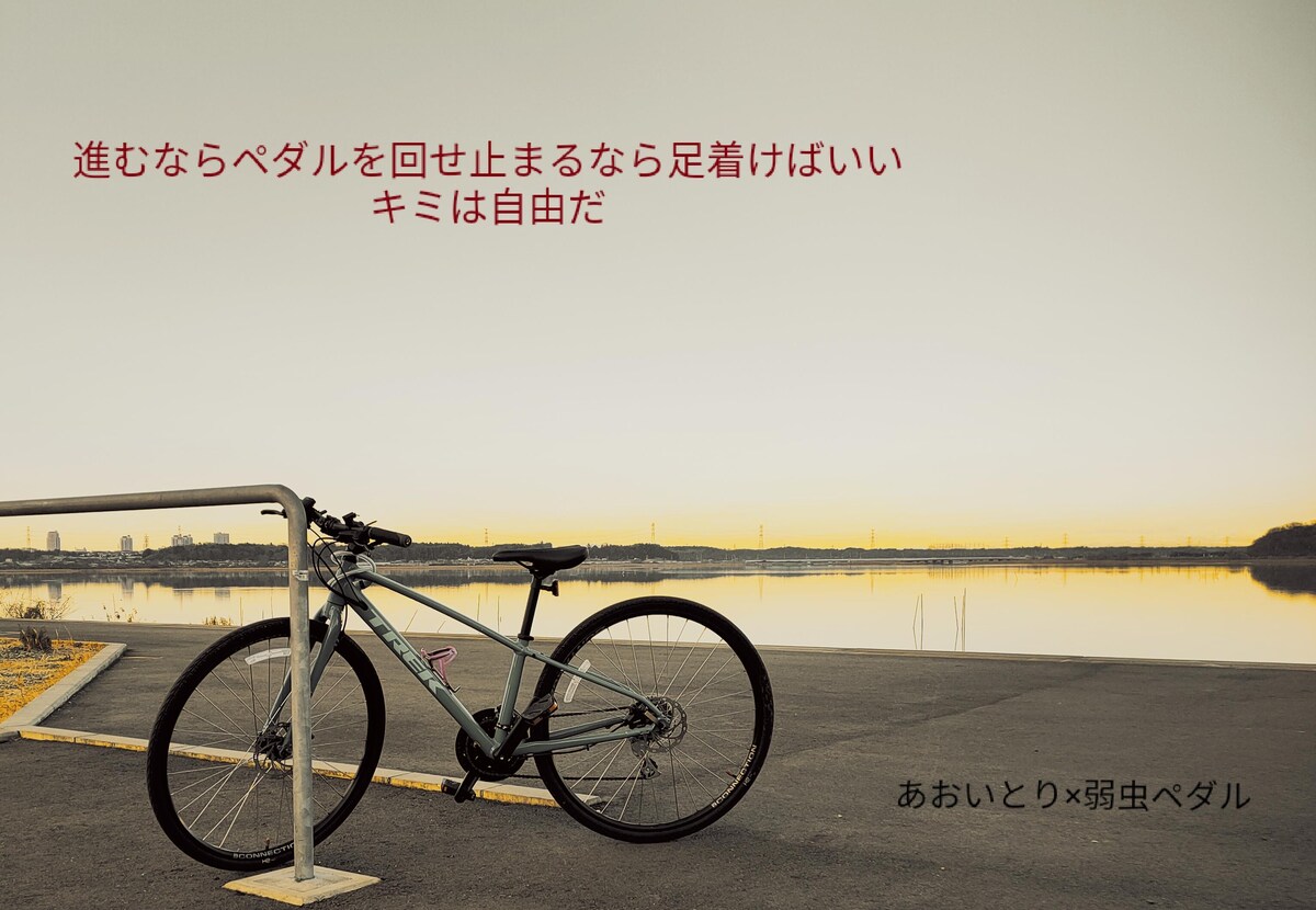 弱虫ペダル短歌