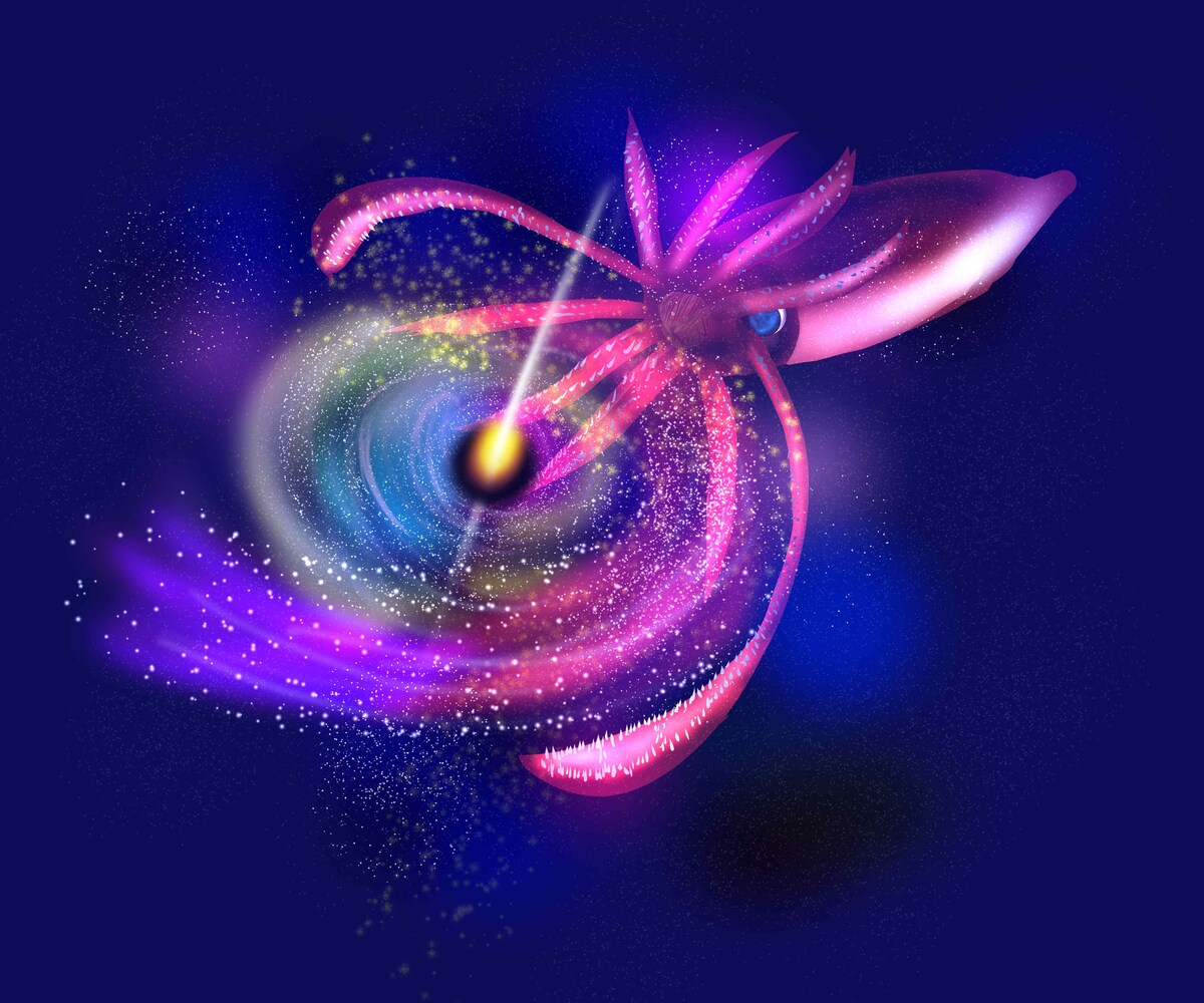 深海魚×宇宙２