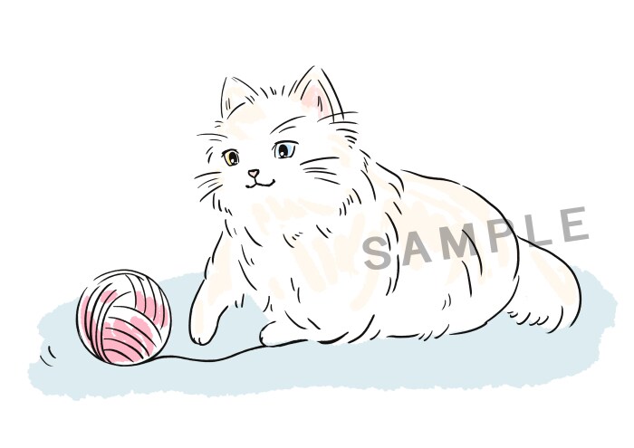 猫