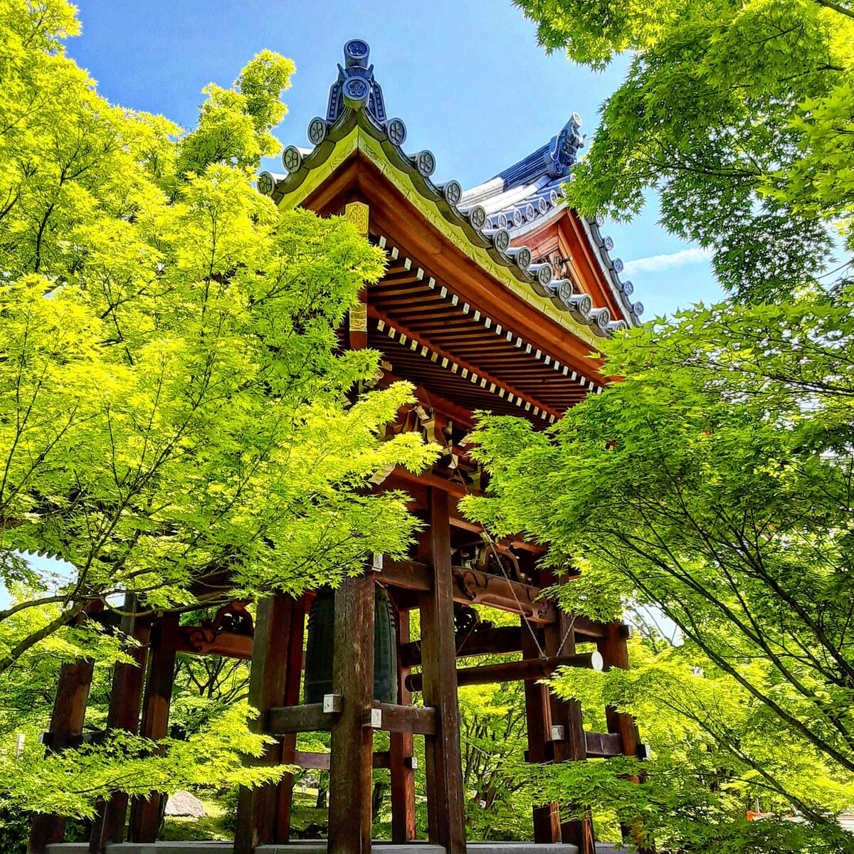 新緑の美しい京都