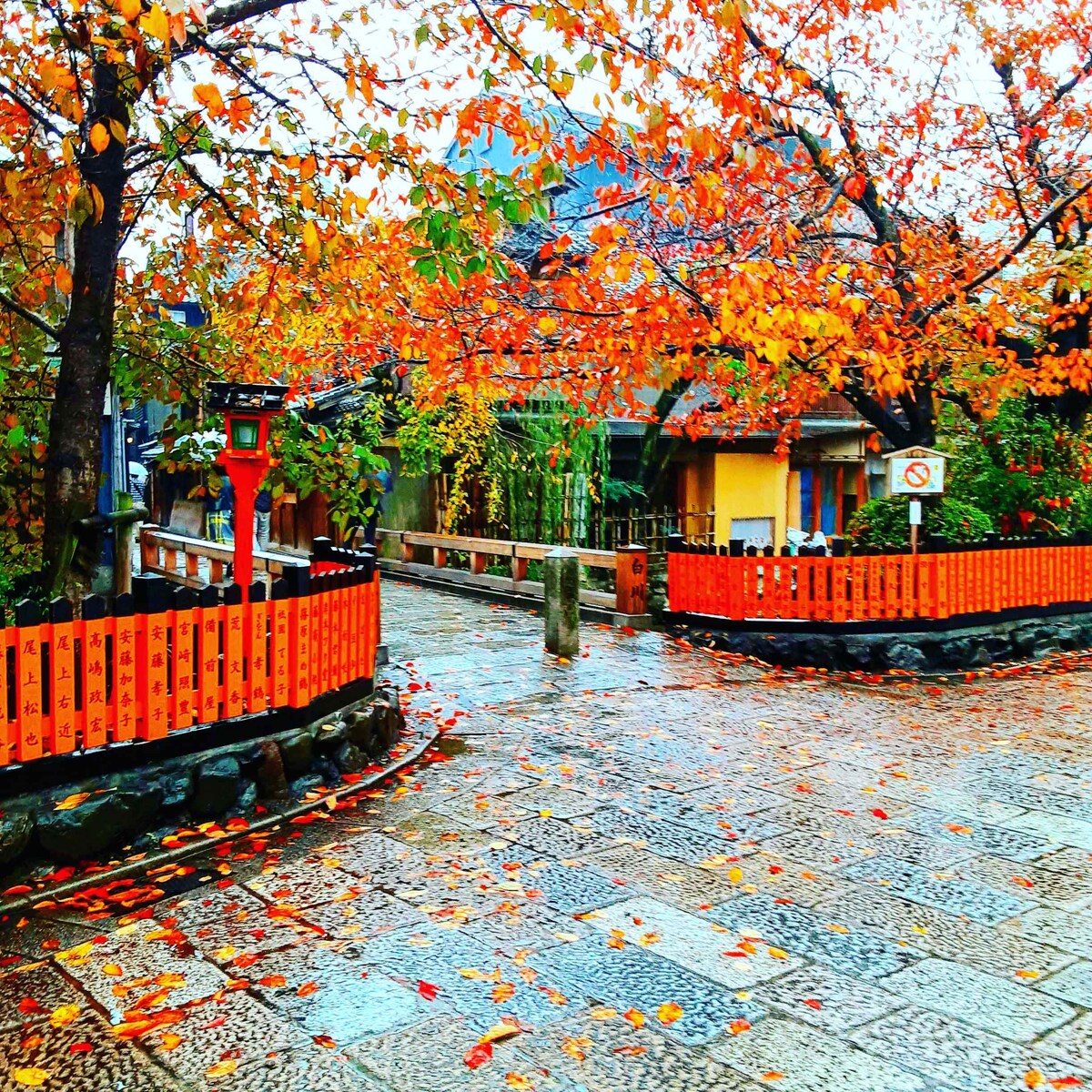 秋の京都は魅力