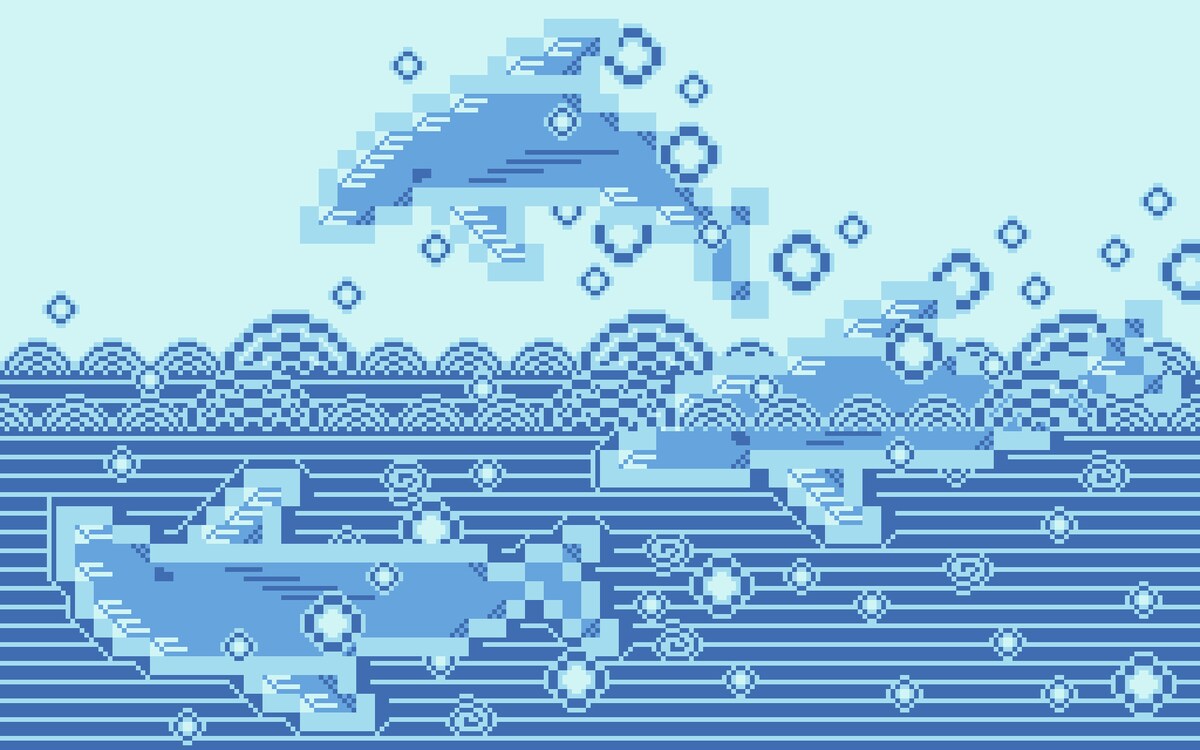 イルカの遊び