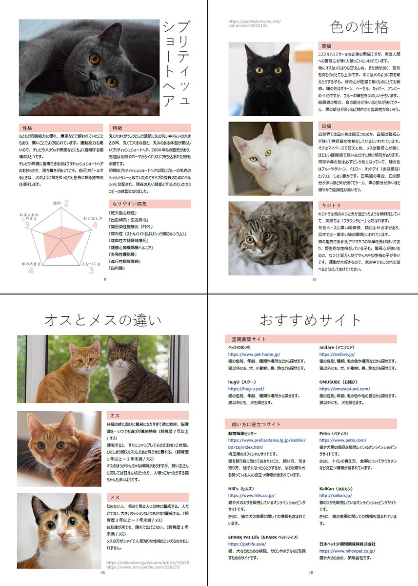 雑誌のデザイン 猫モチーフ