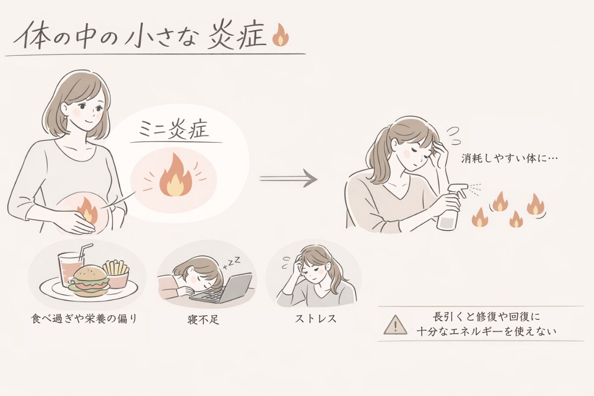 美容系ブログ用 図解・挿入イラスト制作例