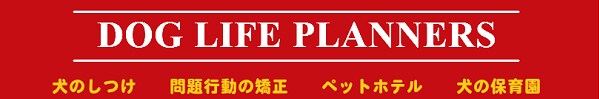 ドッグライフプランナーズ 福岡校のホームページ作成