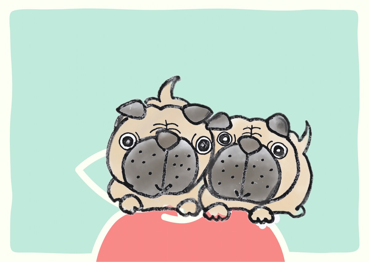 わんこのおやつパッケージデザイン