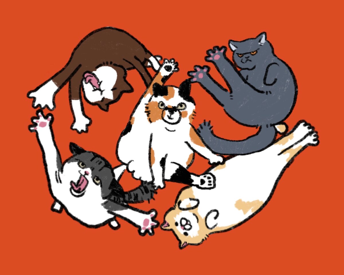 ねこ