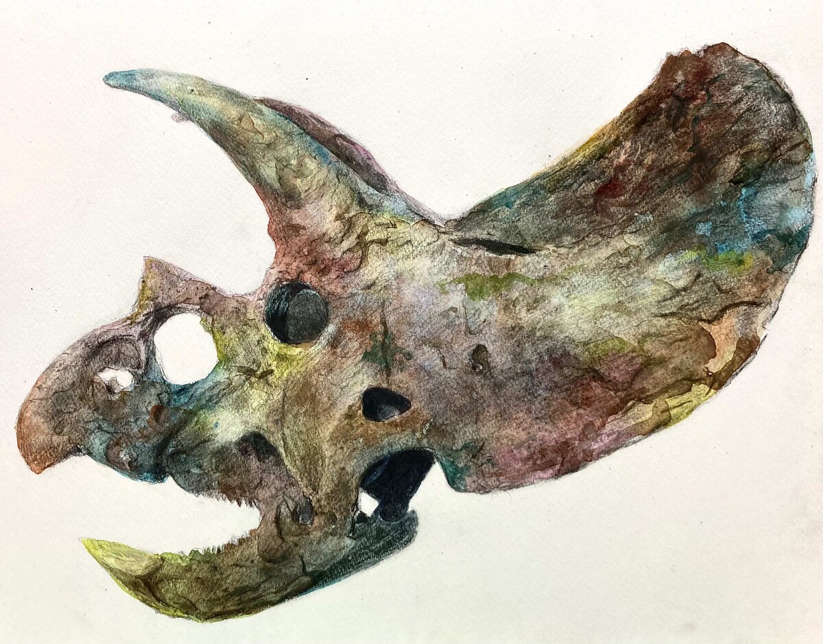水彩/鉛筆画