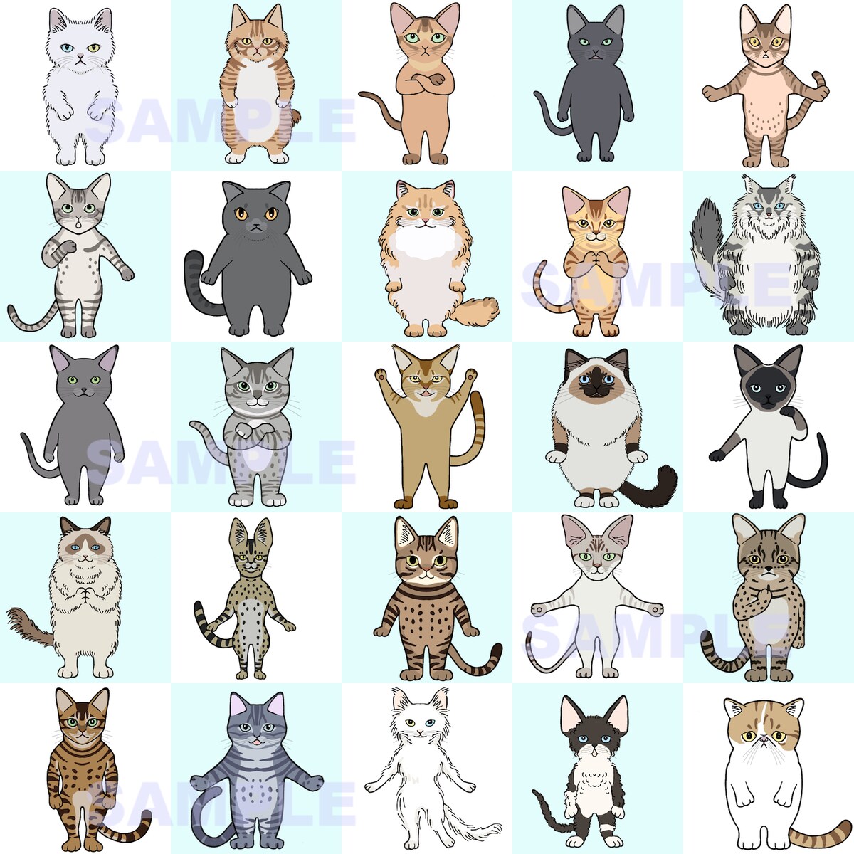 猫 44種類 (抜粋25種)