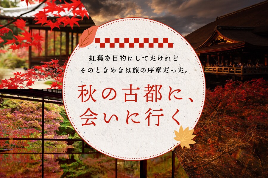 秋の旅行　バナー制作