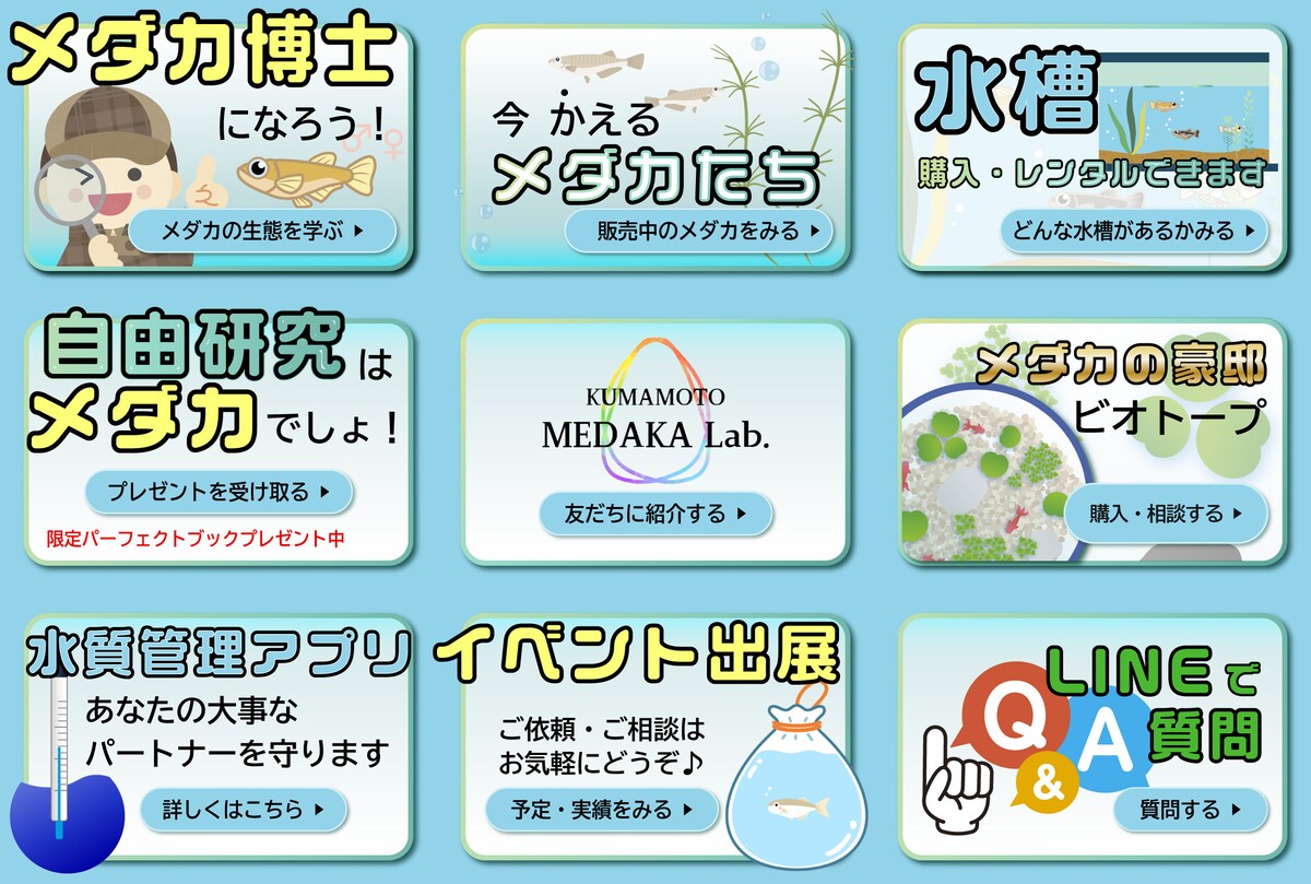 【リッチメニュー】メダカ屋のリッチメニュー