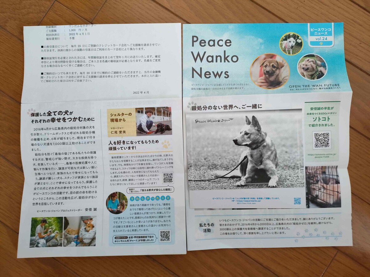 保護犬保護猫サポーターしています。
