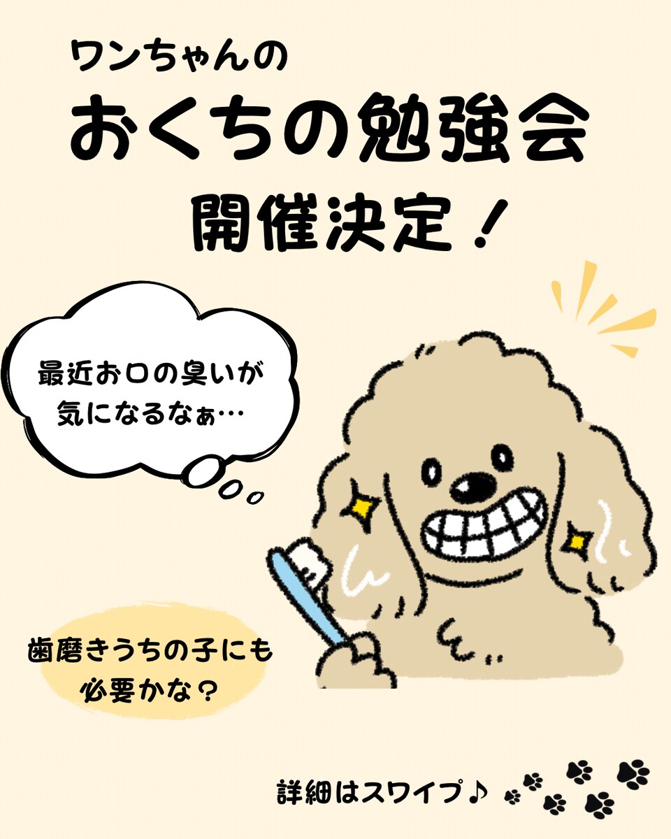 動物病院のセミナー集客用フィード作成依頼