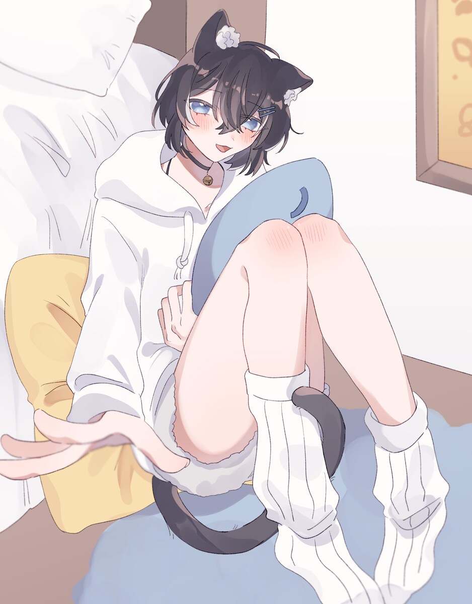 みけさん