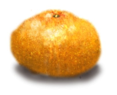 蜜柑