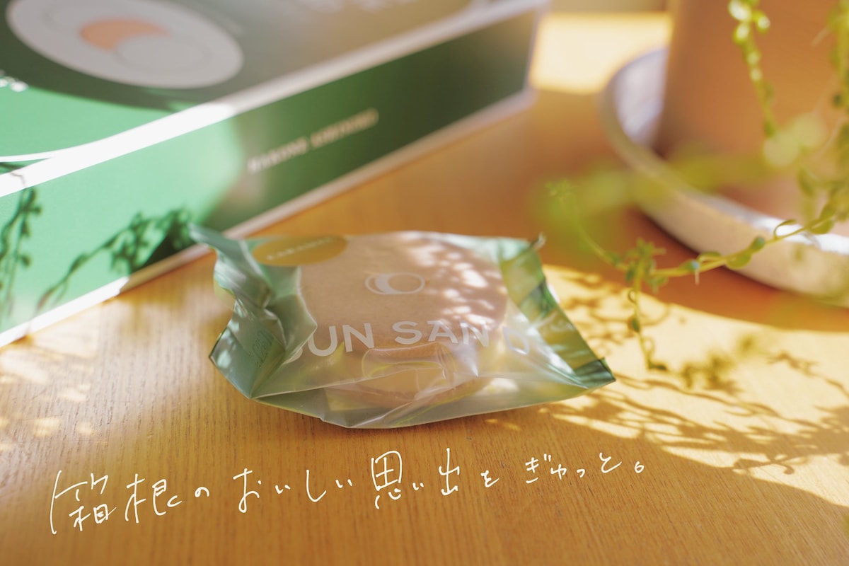 チラシ・HP用写真