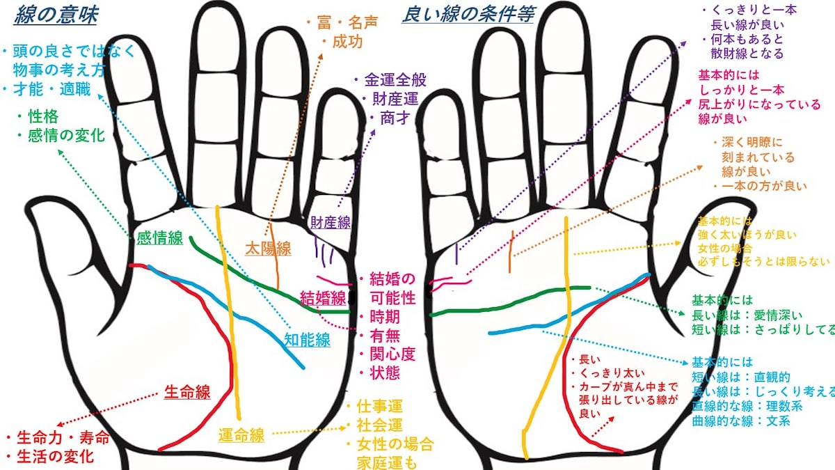 手相の基本線　主要な線（4本）　補助的な線（3本）