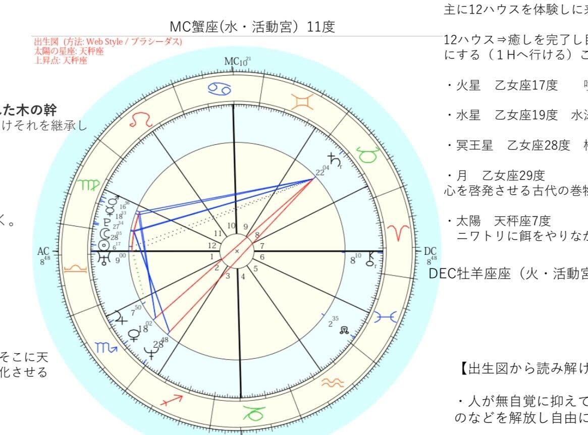 実際の鑑定書の一部