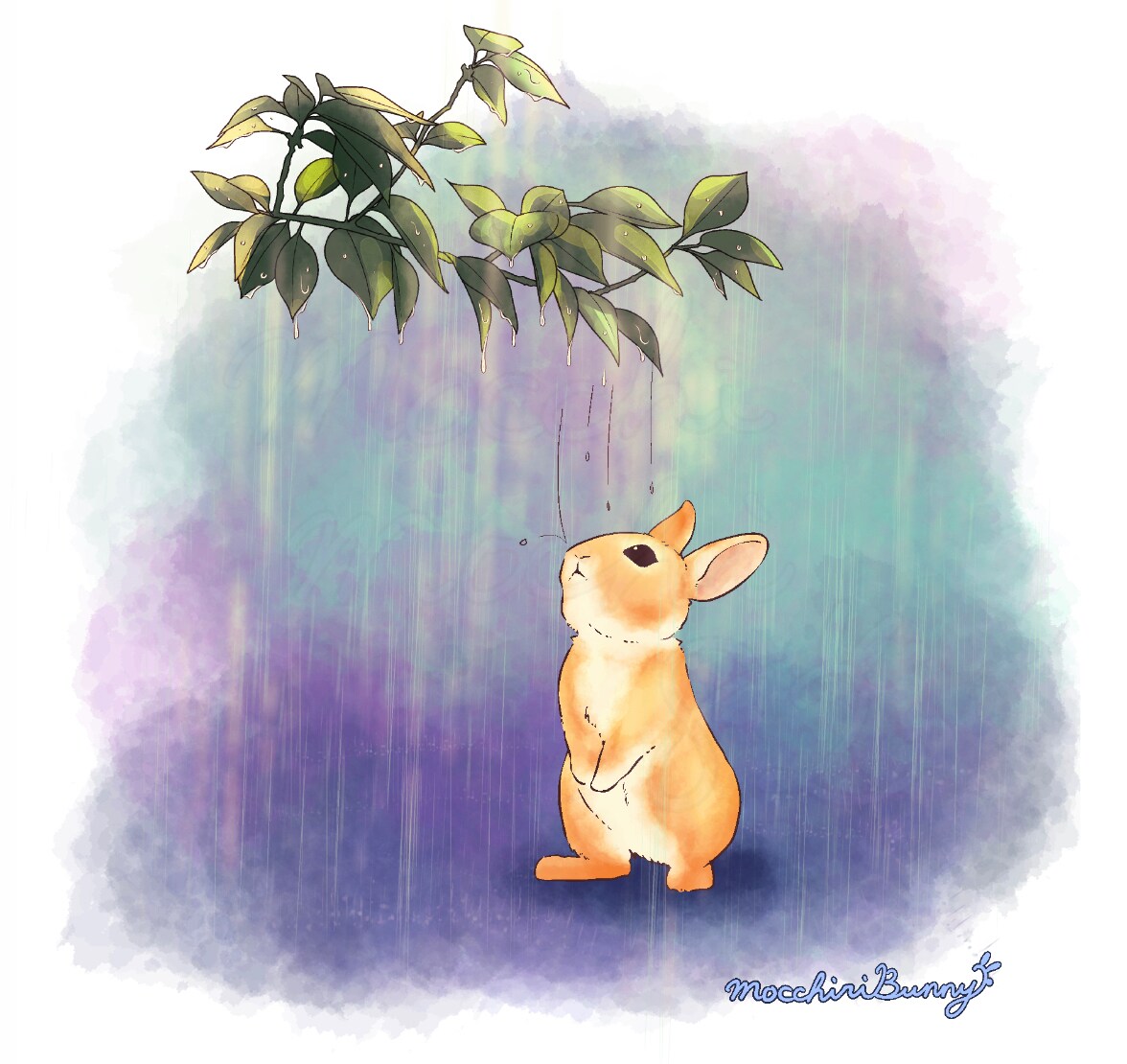 雨の日のうさぎさん
