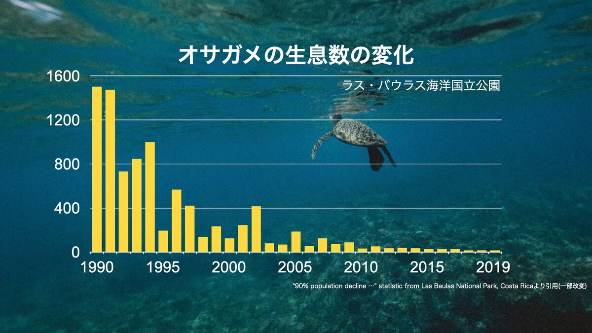 カメの生息数減少