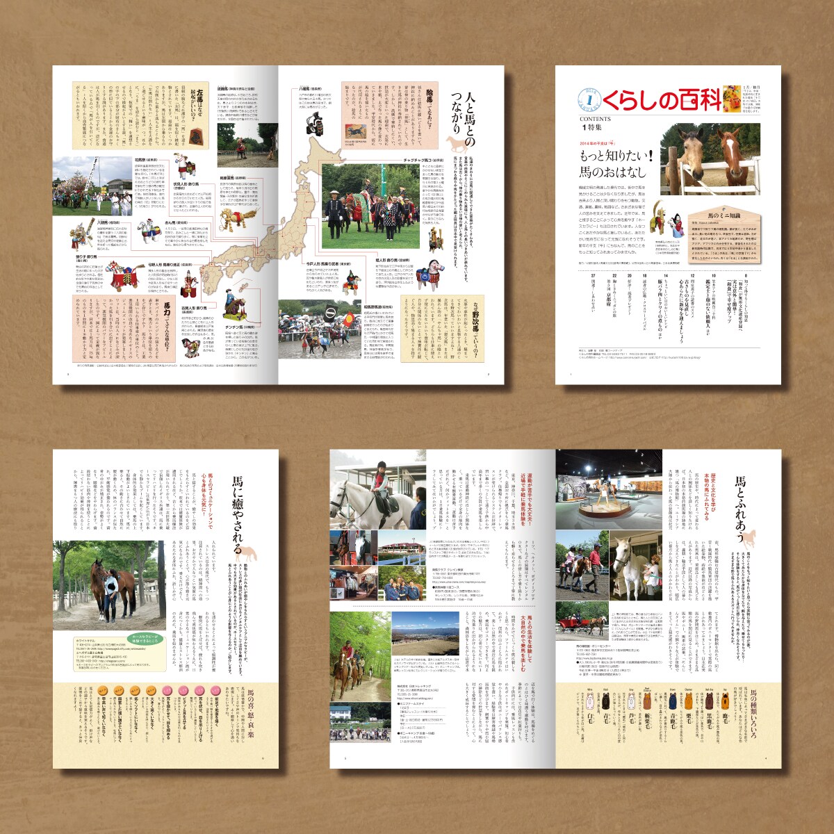 生活情報誌　特集ページのデザイン