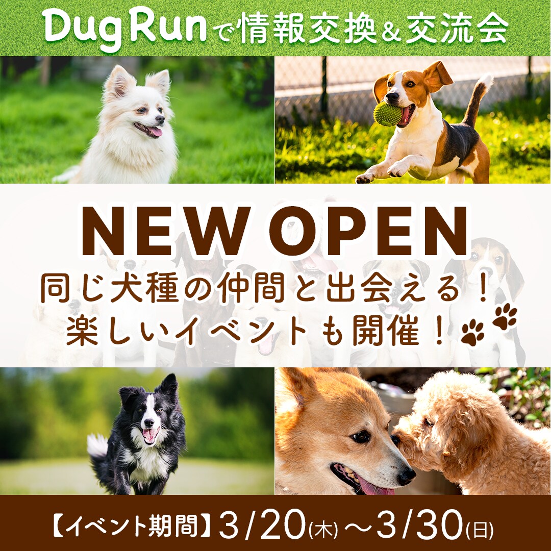 DOG RUNの新規オープンバナー
