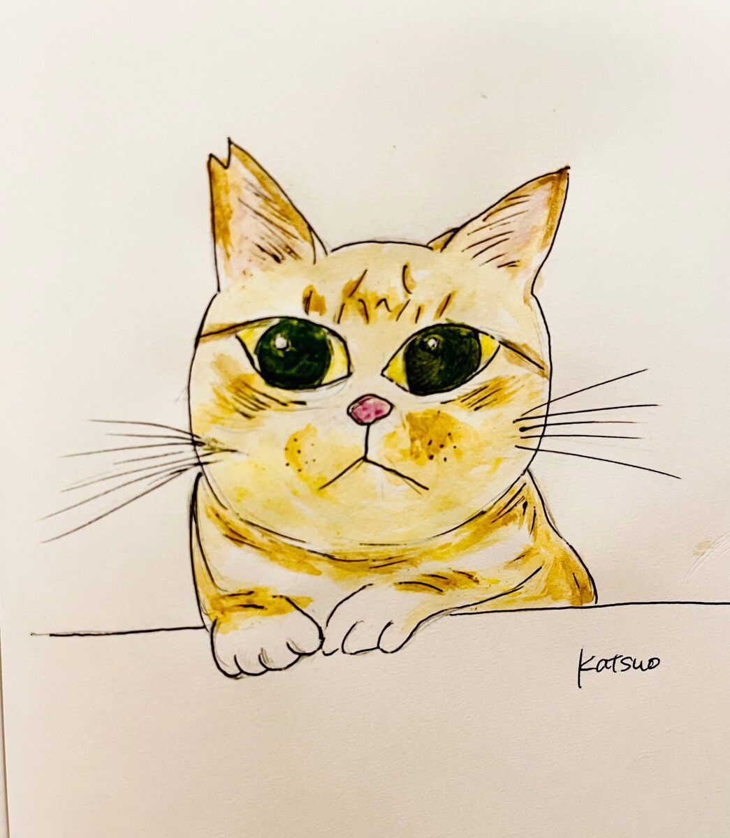 猫のイラストーカツオ君