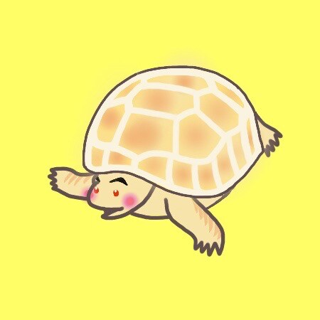 カメさん