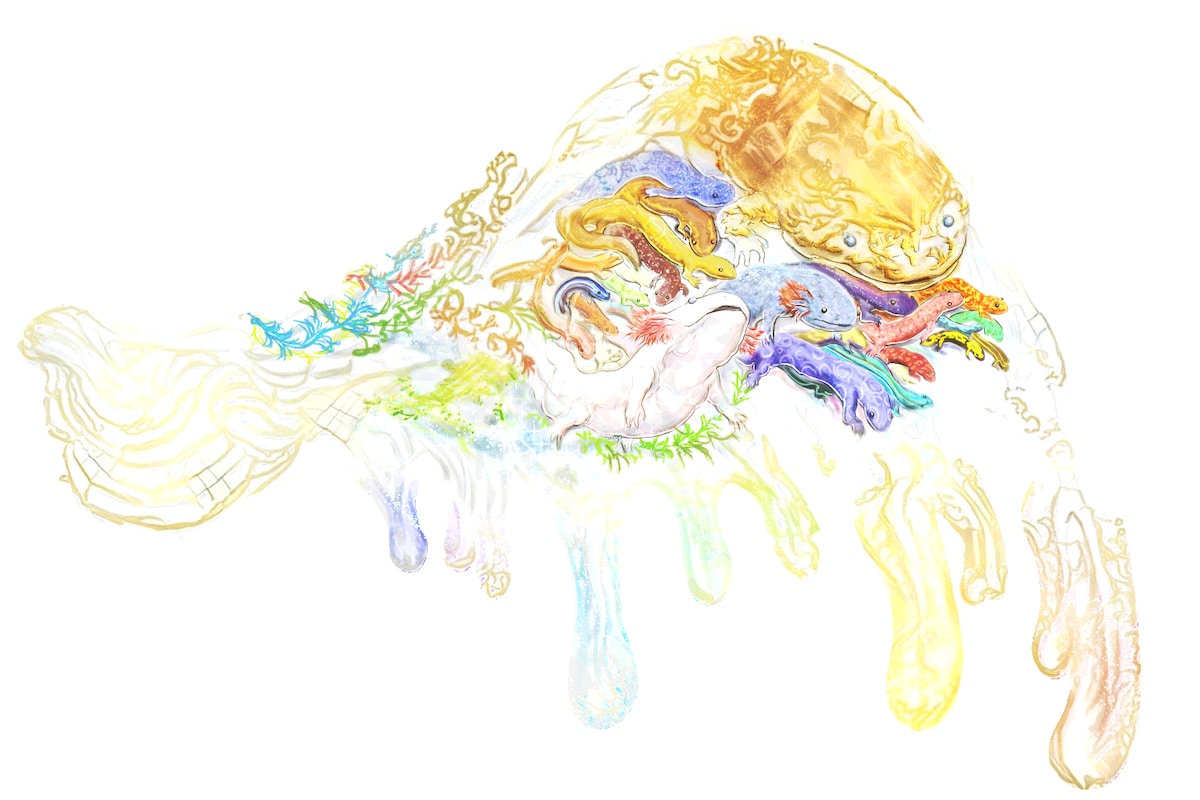 サラマンダーの翼