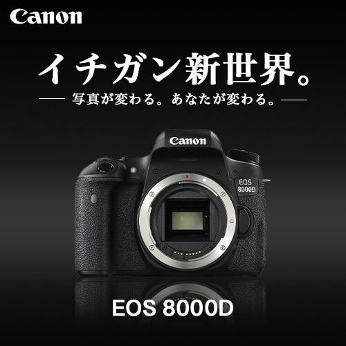 カメラの広告バナー