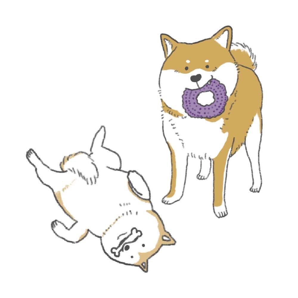 飼い犬のイラスト作成